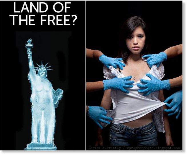 land of the free image via sott